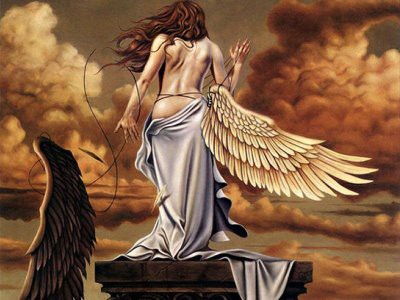 ~* Mulher, A Amo, Mas Não a Admiro. '